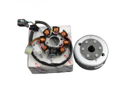 Husqvarna te smr 450 510 stator magneto zapłon org