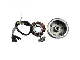 Honda ns mtx 125 zapłon cewki stator magneto nowy