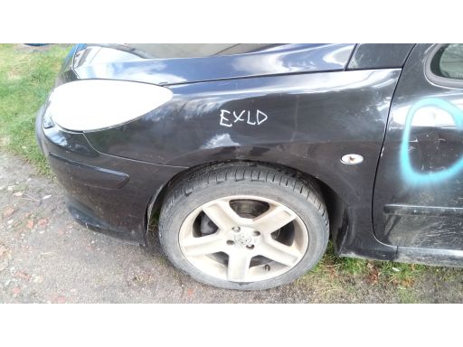 Peugeot 307 lift blotnik lewy exld