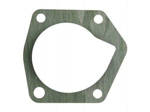 Fe178620 Uszczelka Pompy Cieczy Chłodzącej Pasuje Do: Seat Arosa, Skod