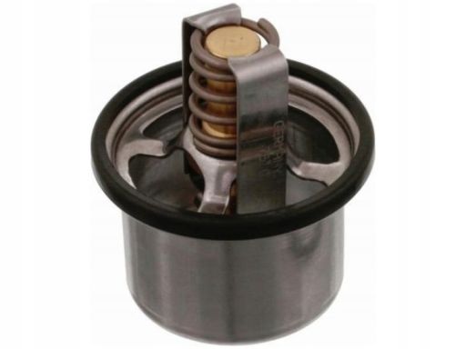 Fe22545 Termostat Cieczy Chłodzącej (76°C, Z Uszczelką) Pasuje Do: Daf