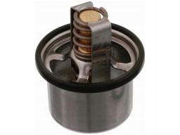 Fe22545 Termostat Cieczy Chłodzącej (76°C, Z Uszczelką) Pasuje Do: Daf