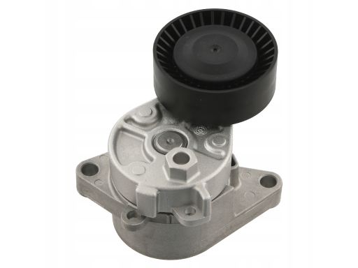 Fe09810 Napinacz Paska Wielorowkowego Pasuje Do: Bmw 3 (E36), 3 (E46),