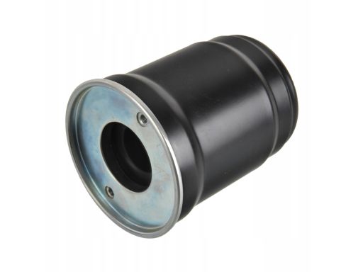 Fe184365 Filtr Paliwa (Z Pierścieniem Uszczelniającym) Pasuje Do: Hyun