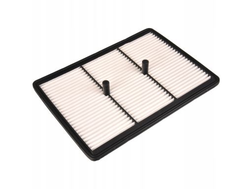 Fe184339 Filtr Powietrza (Wkład Filtra) Pasuje Do: Hyundai Kona, Kona/