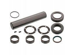 Fe19174 Zestaw Naprawczy Zwrotnicy (Z Łożyskiem, Ze Sworzniem