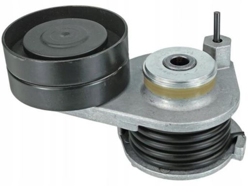 14-34 000 0003 Napinacz Paska Wielorowkowego Pasuje Do: Daf Cf 85, Xf