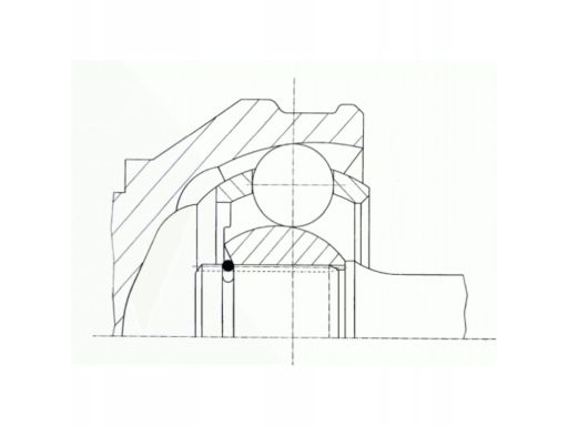0.022121 Przegub Napędowy Zewnętrzny L/P (21Z/21Z/48,8Mm) Pasuje Do: