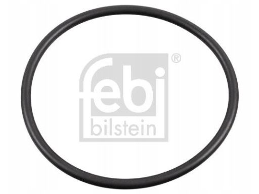 Fe179379 Uszczelniacz Piasty Koła (109,2X120,6X5,7) Pasuje Do: Man F20