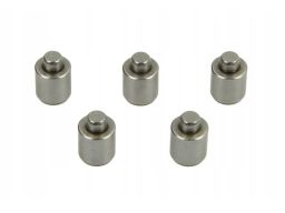 F 00Z C99 766K Trzpień Regulacyjny Cena Za 5 Szt. (Rząd C, Śr. Zew. 5,