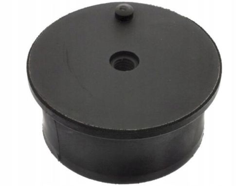 Fe40132 Poduszka Silnika Z Przodu L/P (Gumowo-Metalowa) Pasuje Do: Rvi