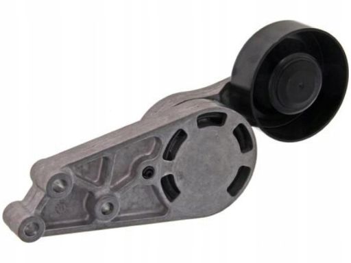 Fe26569 Napinacz Paska Wielorowkowego Pasuje Do: Audi A4 B5, A4 B6, A4