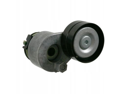 Fe22329 Napinacz Paska Wielorowkowego Pasuje Do: Volvo S40 I, V40,