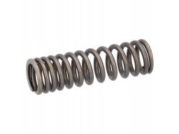 Fe187739 Sprężyna Zaworu Pasuje Do: Mercedes Actros Mp4 / Mp5, Antos,