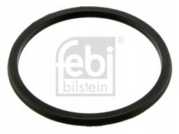 Fe38162 Uszczelniacz Skrzyni Biegów (80X90X5)