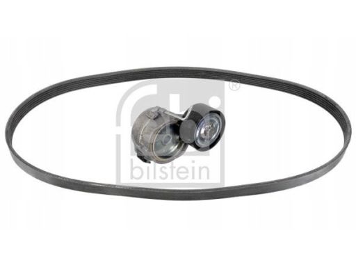 Fe183486 Zestaw Pasków Wielorowkowych (Z Rolkami) Pasuje Do: Ds Ds 3,