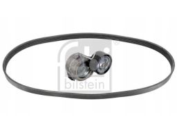 Fe183486 Zestaw Pasków Wielorowkowych (Z Rolkami) Pasuje Do: Ds Ds 3,