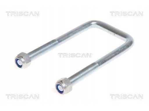 8765 100012 Strzemię Resoru Iveco Daily 99-11 180X82 Triscan