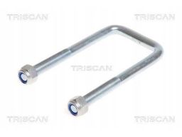 8765 100012 Strzemię Resoru Iveco Daily 99-11 180X82 Triscan