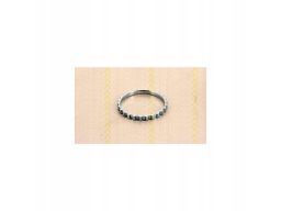 8540 25403 Pierścień Abs Renault P. 19/Clio/Kangoo Triscan