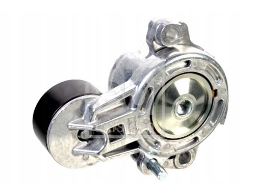 Fe176623 Napinacz Paska Wielorowkowego (Nowy Typ) Pasuje Do: Mercedes