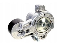 Fe176623 Napinacz Paska Wielorowkowego (Nowy Typ) Pasuje Do: Mercedes