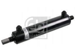 Fe176542 Amortyzator Układu Kierowniczego (Dł.448/698Mm, 250Mm) Pasuje