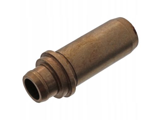 Fe10667 Prowadnica Zaworu (Ssący, Wydechowy) Pasuje Do: Audi 80 B4, A3