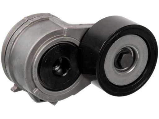 Fe170018 Napinacz Paska Wielorowkowego Pasuje Do: Mercedes Actros Mp4