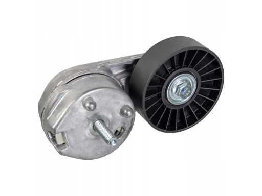 Fe179071 Napinacz Paska Wielorowkowego Pasuje Do: Land Rover Discovery