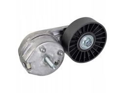 Fe179071 Napinacz Paska Wielorowkowego Pasuje Do: Land Rover Discovery