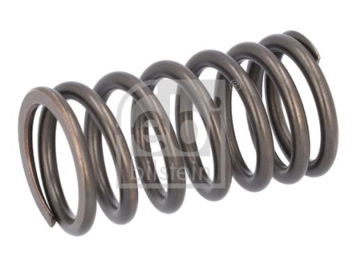 Fe187750 Sprężyna Zaworu Pasuje Do: Daf Cf 85 12.6D/12.9D 01.01-12.20
