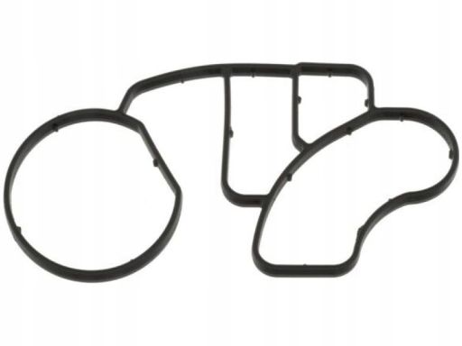 Fe49692 Uszczelka Chłodnicy Oleju Pasuje Do: Man Foc, Hocl, L2000, Lio