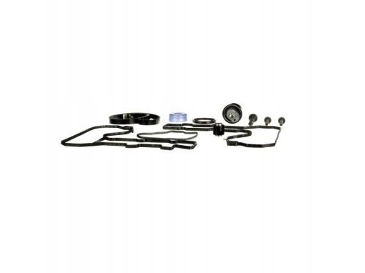 Gatk06T360Hob Rozrząd Kpl. (Pasek + Rolka) Pasuje Do: Ds Ds 3, Ds 4, D