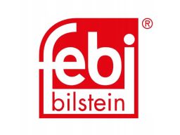 Fe41070 Sworzeń Wahacza Przód L/P (Dół Przód) (Średnica Stożka 18Mm, Z