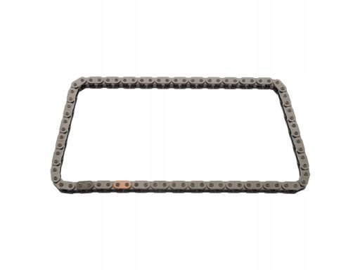 Fe25229 Łańcuch Napędu Pompy Oleju (Liczba Ogniw: 76) Pasuje Do: Ford