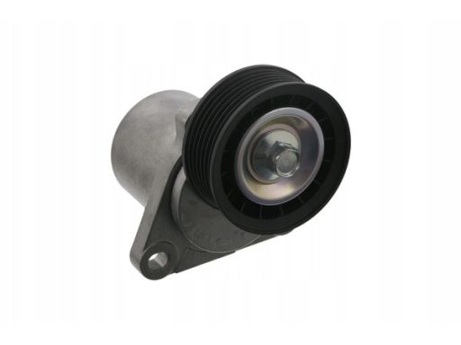 Fe33355 Napinacz Paska Wielorowkowego Pasuje Do: Ford Fiesta V, Maveri