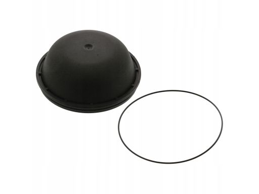 Fe46134 Pokrywa Piasty Pasuje Do: Rvi Kerax, Magnum, Midlum, Premium,