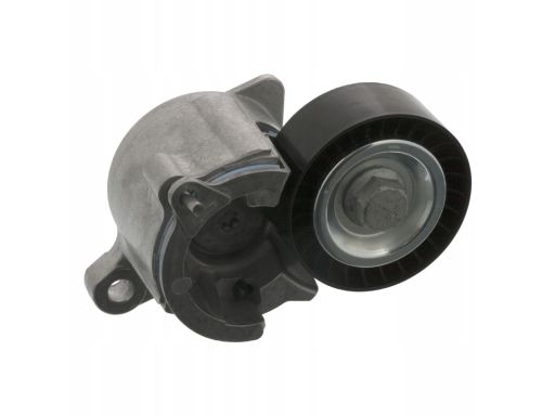 Fe19356 Napinacz Paska Wielorowkowego Pasuje Do: Citroen C5 I, C5 Ii,