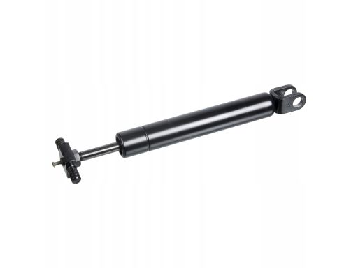 Fe106511 Sprężyna Gazowa Szyby Pokrywy Bagażnika 450N, L-216Mm, Suw:21