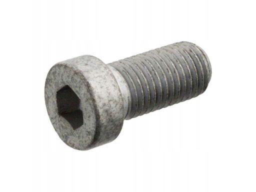 Fe103448 Śruba M12X1,5/25Mm (Obudowa Zwolnicy) Pasuje Do: Mercedes