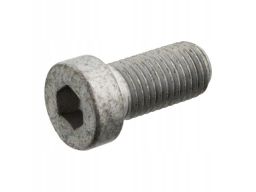 Fe103448 Śruba M12X1,5/25Mm (Obudowa Zwolnicy) Pasuje Do: Mercedes