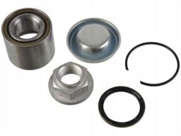 Fe171145 Zestaw Łożyska Koła Tył L/P (25X52X42) Pasuje Do: Ds Ds 3,