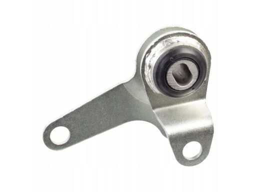 Fe106855 Poduszka Silnika Z Tyłu, Gumowo-Metalowa Pasuje Do: Fiat 500L