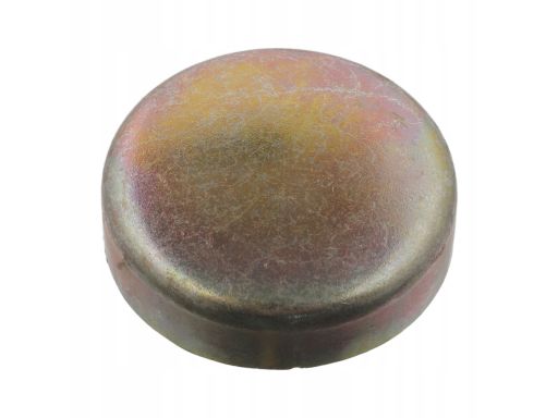 Fe07295 Brok Silnika (Zaślepka) Pasuje Do: Daf 75 Cf, 85 Cf, 95, 95 Xf