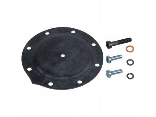 Fe02442 Zestaw Naprawczy Pompy Próżniowej Pasuje Do: Mercedes 123 T-Mo