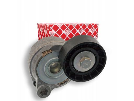 Fe49398 Napinacz Paska Wielorowkowego Pasuje Do: Volvo S60 Ii, S80 Ii,