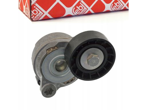 Fe49398 Napinacz Paska Wielorowkowego Pasuje Do: Volvo S60 Ii, S80 Ii,