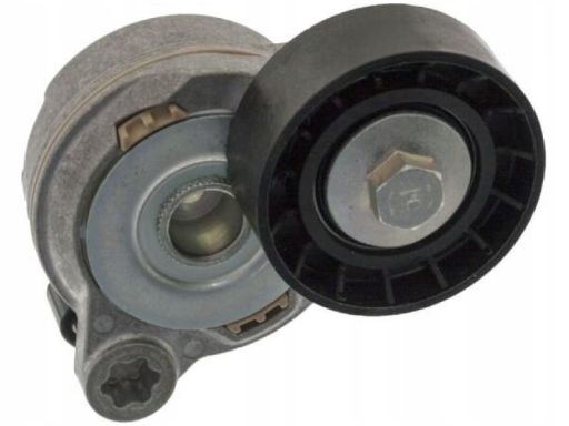 Fe49398 Napinacz Paska Wielorowkowego Pasuje Do: Volvo S60 Ii, S80 Ii,