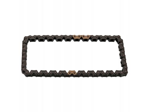 Fe48284 Łańcuch Napędu Pompy Oleju (Liczba Ogniw: 60) Pasuje Do: Honda